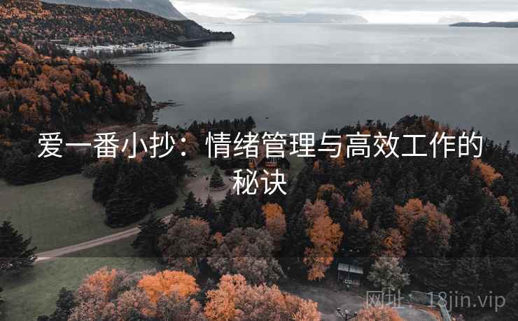 爱一番小抄:情绪管理与高效工作的秘诀 爱一番小抄:情绪管理与高效工作的秘诀