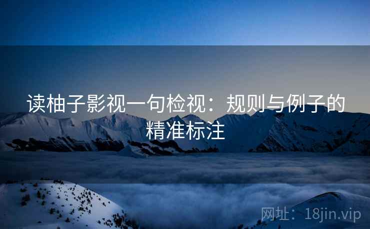 读柚子影视一句检视：规则与例子的精准标注